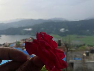 Hilltop Restaurant and guesthouse - Pokhara - 4