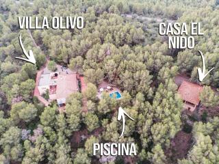 AldeaMia, Forest, mountain view, beach at 8 min - Vilanova de Escornalbou - 8