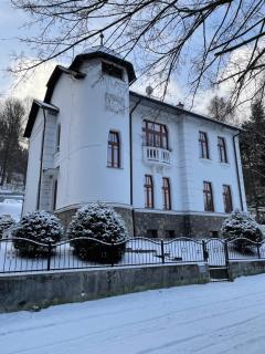Historická vila Dom hostí - Podbrezová - 0