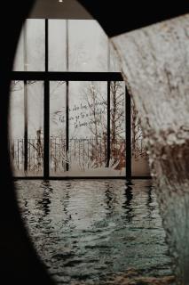 Tarcin Forest Resort and Spa MGallery by Sofitel - Tarčin - 4