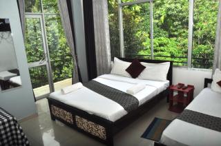 Grand Cliff Ella - 1