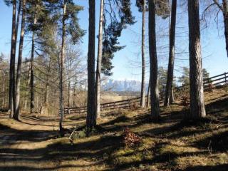 Apartment Lärchenheim - 4