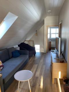 Efri-Rauðilækur in Hörgársveit - Akureyri - 4