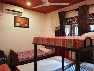Green Herbal Ayurvedic Eco-Lodge - 8