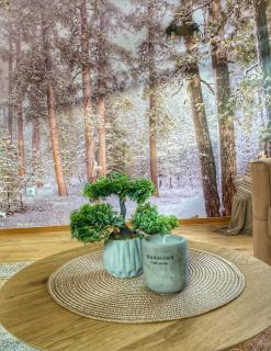Apartmani La Vista - Jahorina - 7