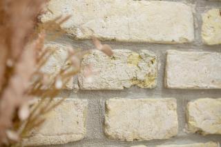 Lukiskes square apartment (Oldtown) - Vilnius - 6