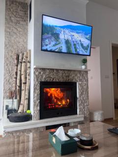 Srna Apartment - Bjelašnica - Bjelašnica - 8