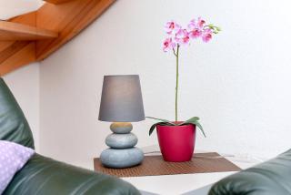 Ferienhaus Oliver - 6