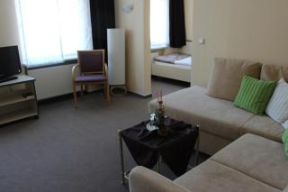 APARTHOTEL 1A - Zwickau - 5