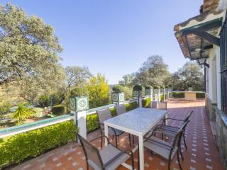 Cubo's Quinta de los Cisnes & minigolf included - 8