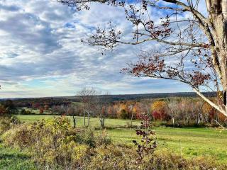Litchfield Modern Farmhouse - 7
