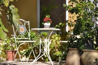 The OLive Tree - 0