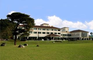 Damyang Spa and Tourist Hotel - Damyang - 9