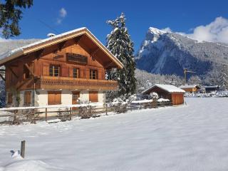Appartement calme près du lac avec jardin, terrasse, parking et WiFi - FR-1-624-45 - Samoëns - 3