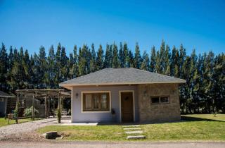 Chacra Los Arándanos - 9