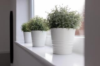 Host Liverpool - Anfield Gem, pet-friendly with garden - Liverpool - 5