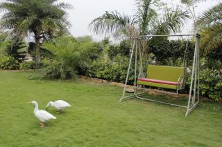 Farm Aavjo - A Conscious Stay - 6