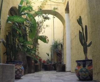 Hospedaje La Mexicana - Guadalajara - 1