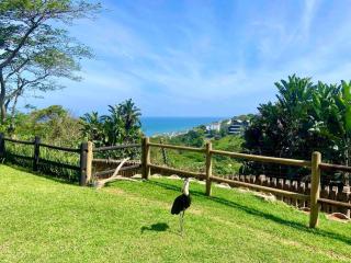 Beautiful 2 Bedroom apartment, no loadshedding - 6