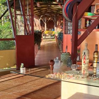 Pochotel - Turrialba - 8