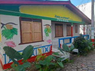 Breadfruit Lodge - San Andrés - 0
