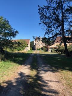 Domaine la Boulinière - La Biche - Journet - 3