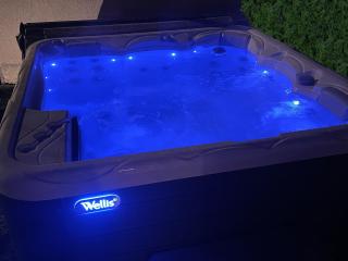 Unique! jacuzzi privé 35°C + cinéma Villa entière - Meyzieu - 1