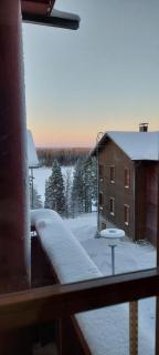Viihtyisä lomahuoneisto Rukalla! - 1