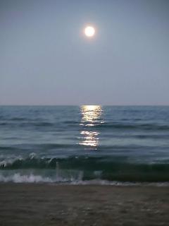Cullera Confort Playa - Cullera - 7