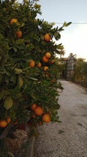 Cortijo Paulenca - Almería - 8