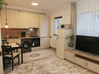 Studio Green Modern! - Suceava - 1