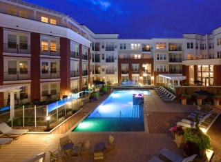 Lovely 2 bedroom apartment in Arlington VA - Arlington - 5