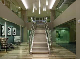 Lovely 2 bedroom apartment in Arlington VA - Arlington - 7