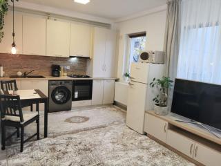 Studio Green Modern! - Suceava - 3
