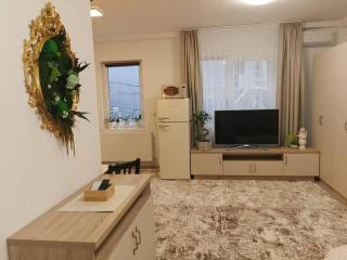 Studio Green Modern! - Suceava - 6