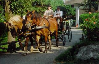 Gasthof Tell - Paternion - 1