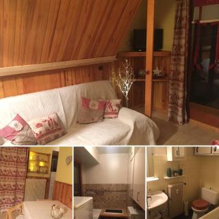 Joli studio - Saint-Étienne-de-Tinée - 0