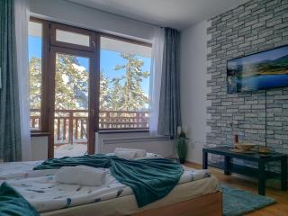 Studios and Apartments - Semiramida Gardens - Borovets - 6