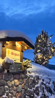 Bergwald Appartements Alpbach - 3