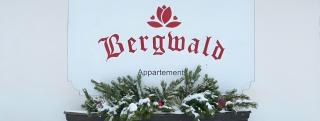 Bergwald Appartements Alpbach - 6