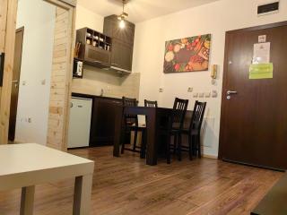 Bansko Royal Towers - Studio 541 - Bansko - 6