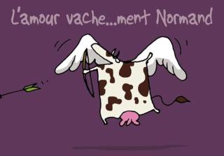 Vachement bien ! - 7