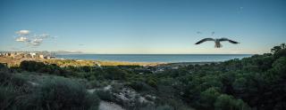 Apartment in Gran Alacant with Sea View, AC, pool - 4