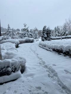 Cosy studios with mountain view near Bansko - Razlog - 4