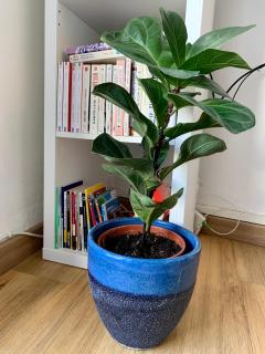 Escale St Charles - 150m de la Gare, vue sur Notre-Dame de la Garde - 7