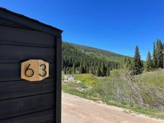 Mountain Views / near hiking trails and ski slopes - 6