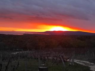 Napraszállás Vendégház - 4