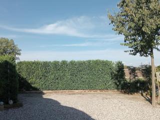 Casa Il giardino - 6