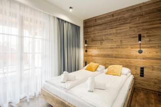 Górskie Szczyty Apart & SPA Apartament 10 Sauna Jacuzzi i Parking w cenie - 0