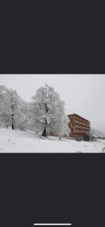 Apartament DIDVELI - Bakuriani - 3